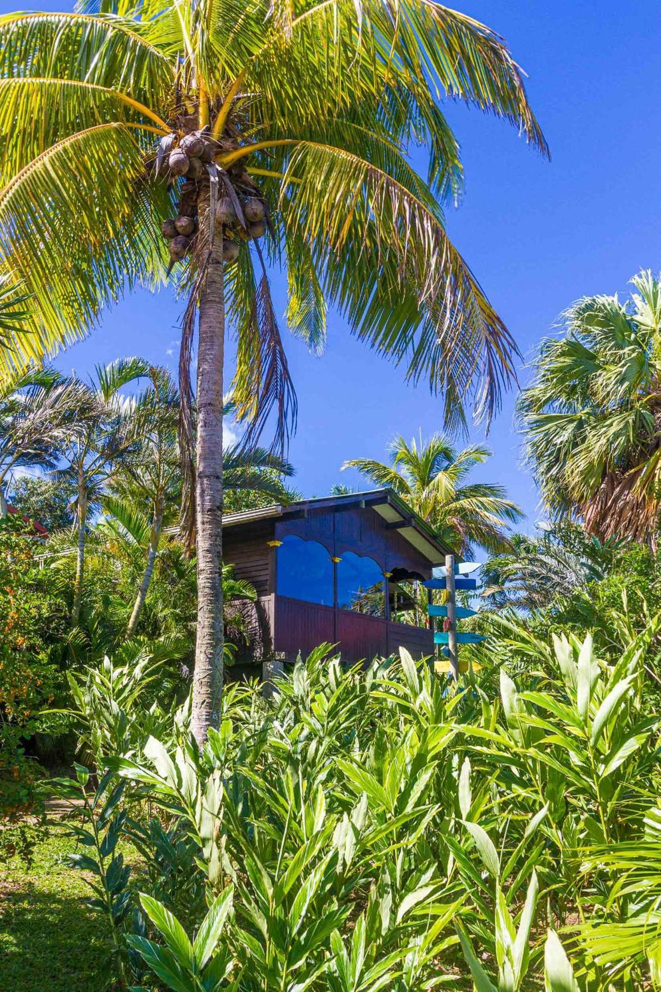 Piton Bungalows Ecolodges Deshaies Exterior photo