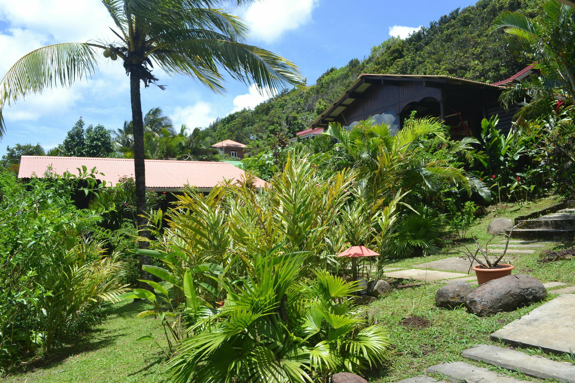 Piton Bungalows Ecolodges Deshaies Exterior photo