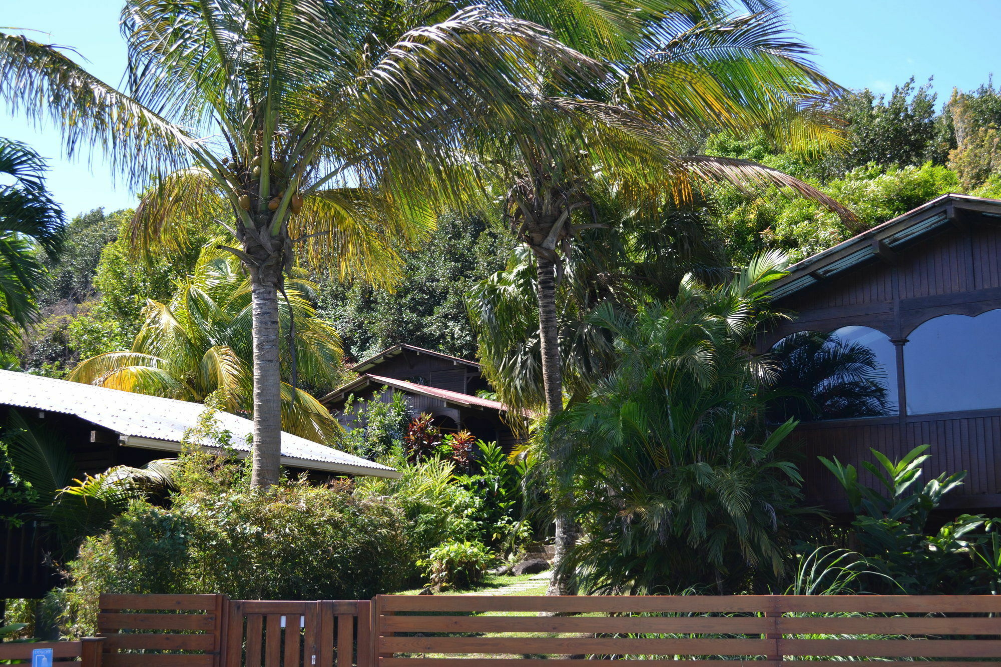 Piton Bungalows Ecolodges Deshaies Exterior photo