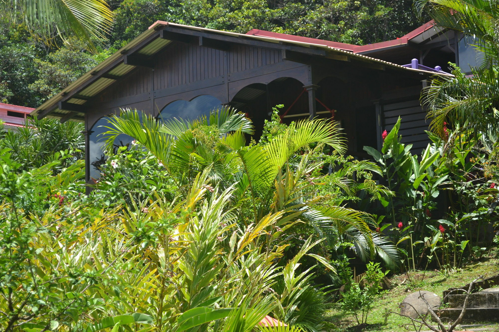 Piton Bungalows Ecolodges Deshaies Exterior photo